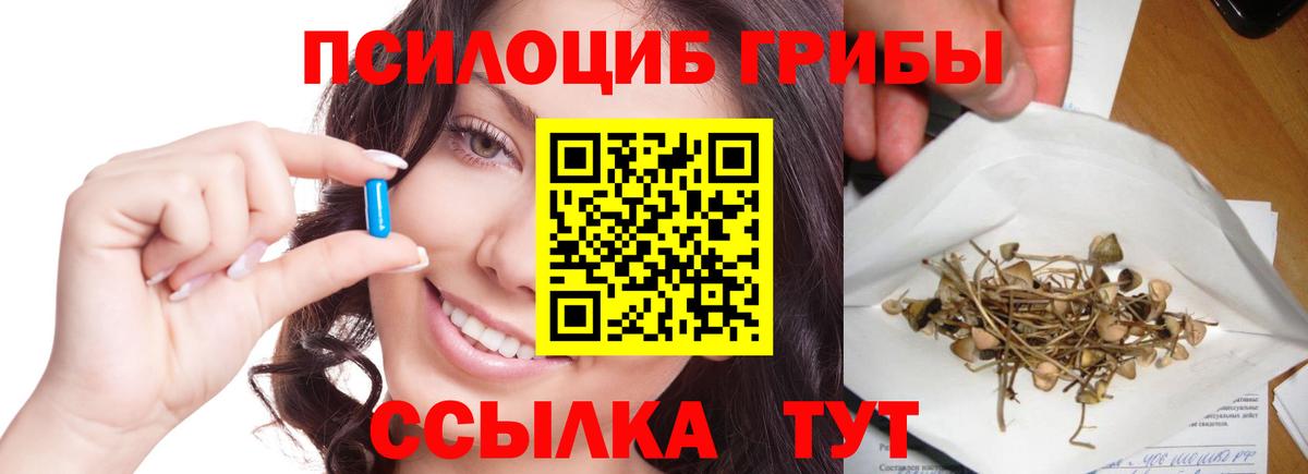 Галлюциногенные грибы мухоморы  Вход с VPN  Галлюциногенные грибы прущие грибы  Новочебоксарск 